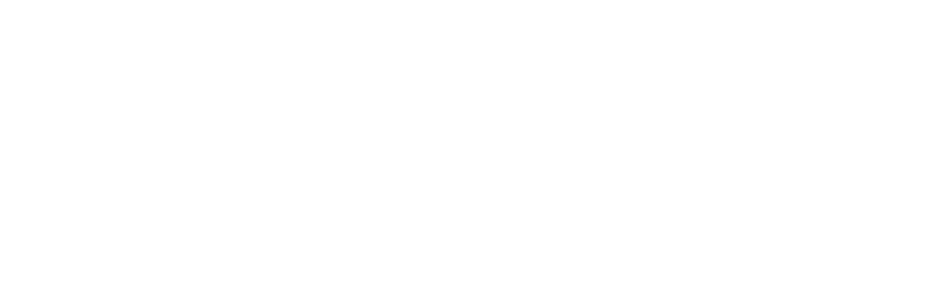 WebPay